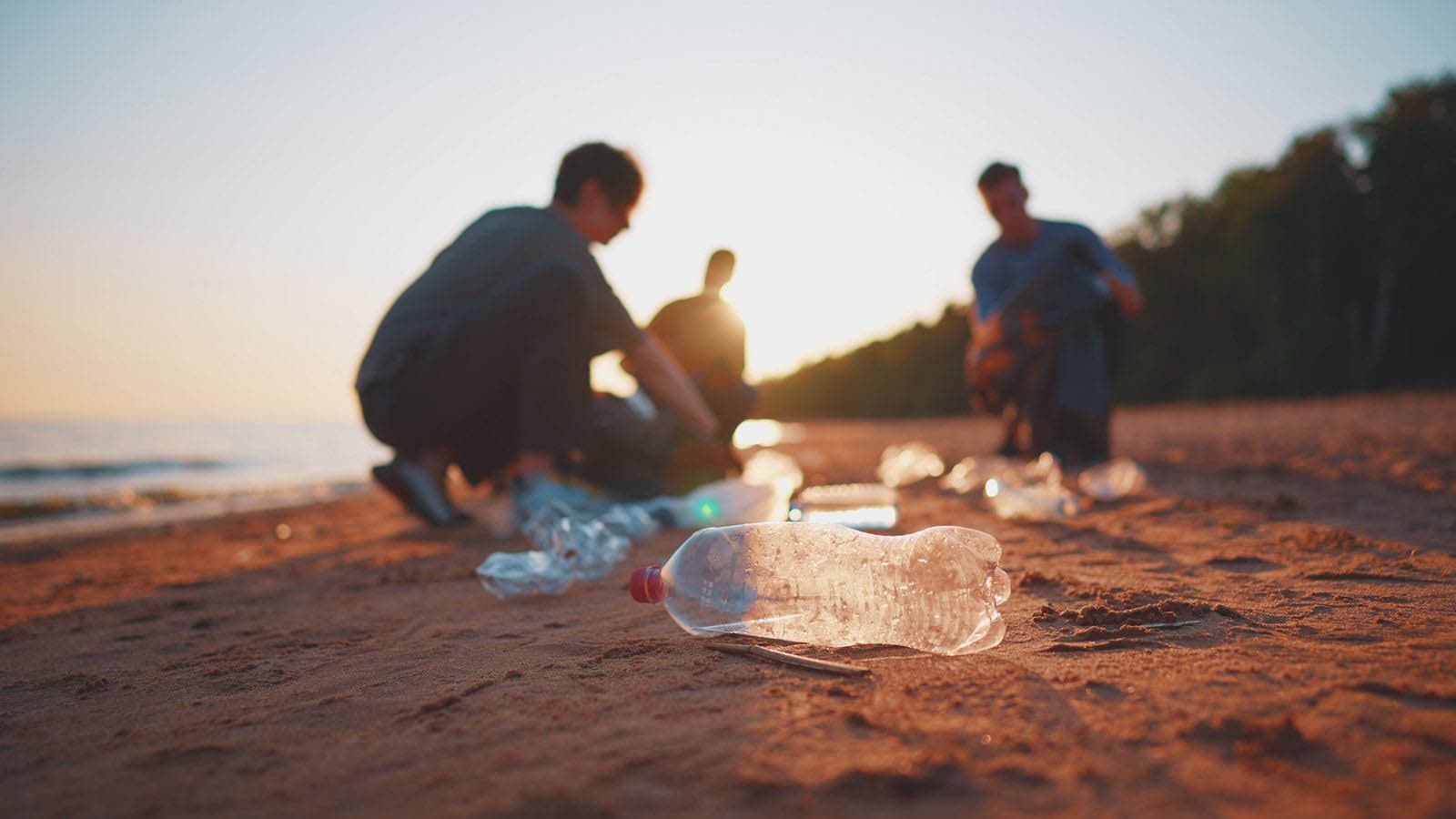 Environmental Education